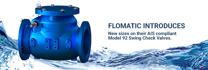 new sized AIS compliant swing check valve