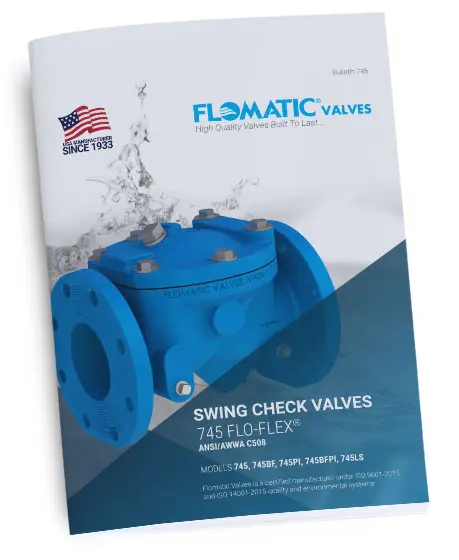 Swing Check Valves - Flapper Style