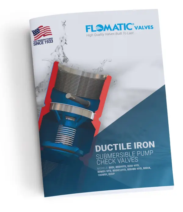 DI check valve literature